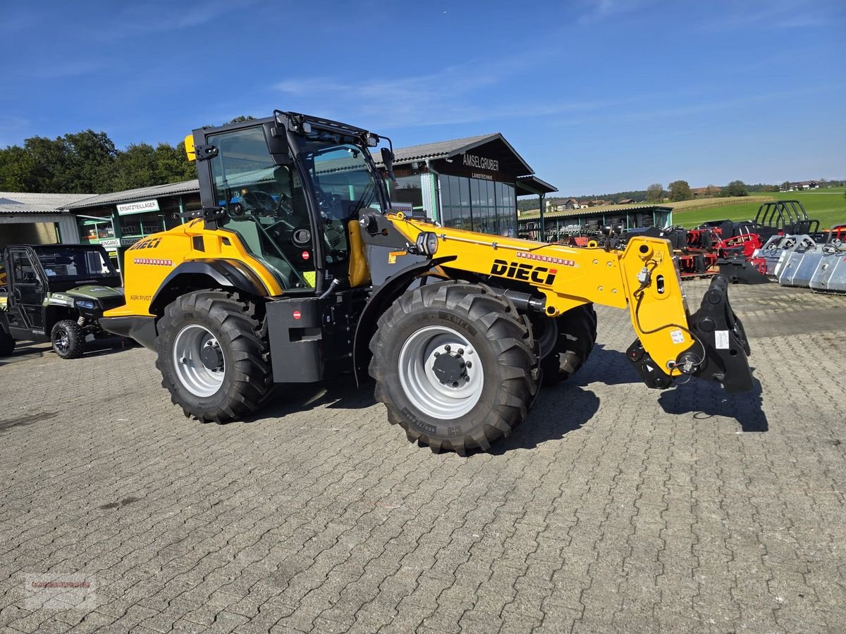 Radlader du type DIECI Agri Pivot T 70 Vario-S Antrieb & Hightech Arm, Gebrauchtmaschine en Tarsdorf (Photo 25)