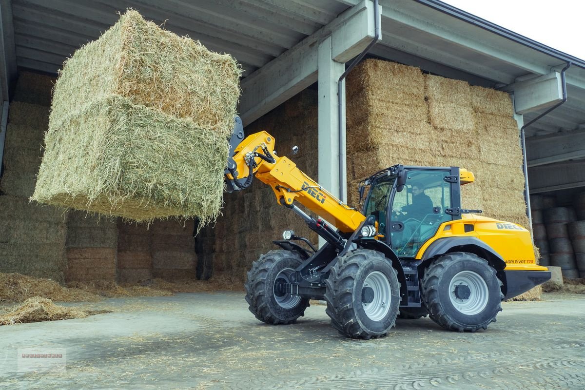 Radlader Türe ait DIECI Agri Pivot T 70 Vario-S Antrieb & Hightech Arm, Gebrauchtmaschine içinde Tarsdorf (resim 1)