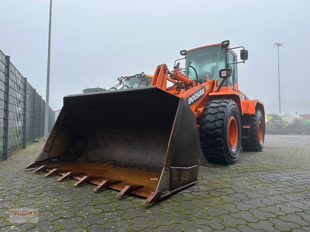 Radlader typu Doosan DL 250 High Lift, Gebrauchtmaschine v Bockel - Gyhum (Obrázek 1)