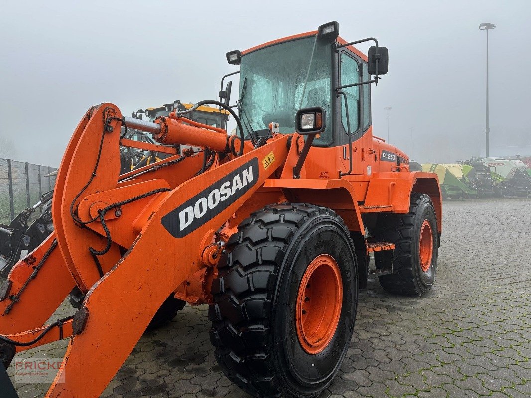 Radlader typu Doosan DL 250 High Lift, Gebrauchtmaschine v Bockel - Gyhum (Obrázek 3)