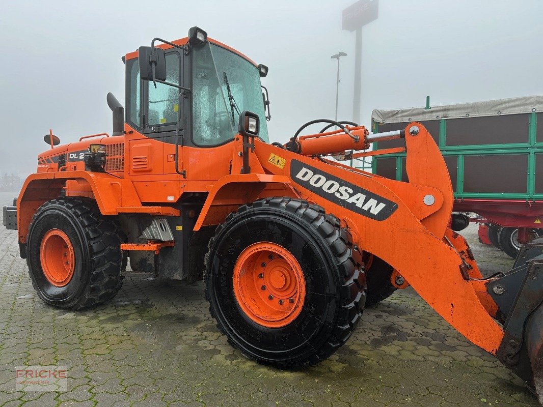 Radlader del tipo Doosan DL 250 High Lift, Gebrauchtmaschine en Bockel - Gyhum (Imagen 18)