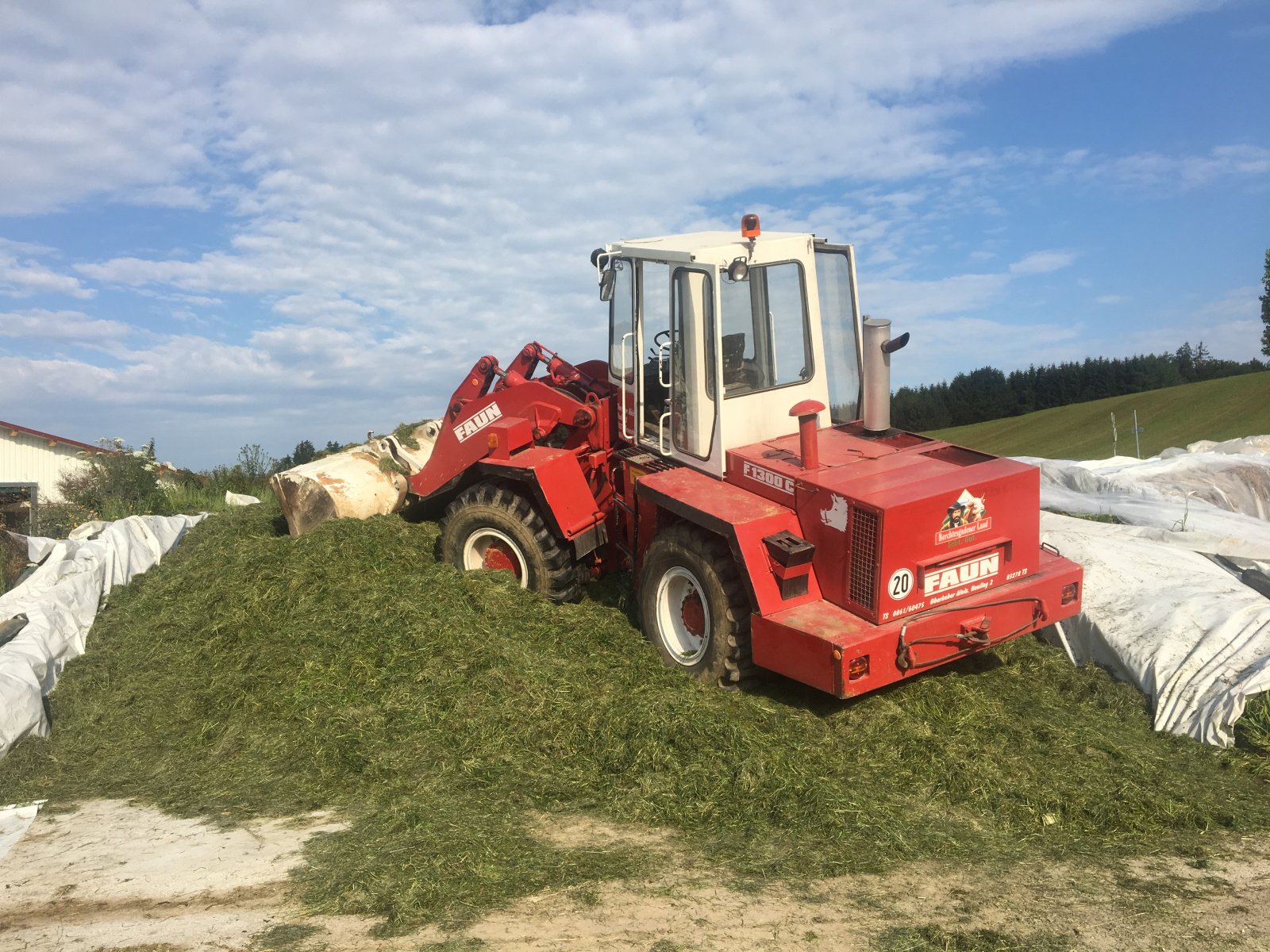 Radlader typu Faun 1300, Gebrauchtmaschine w Traunstein (Zdjęcie 2)