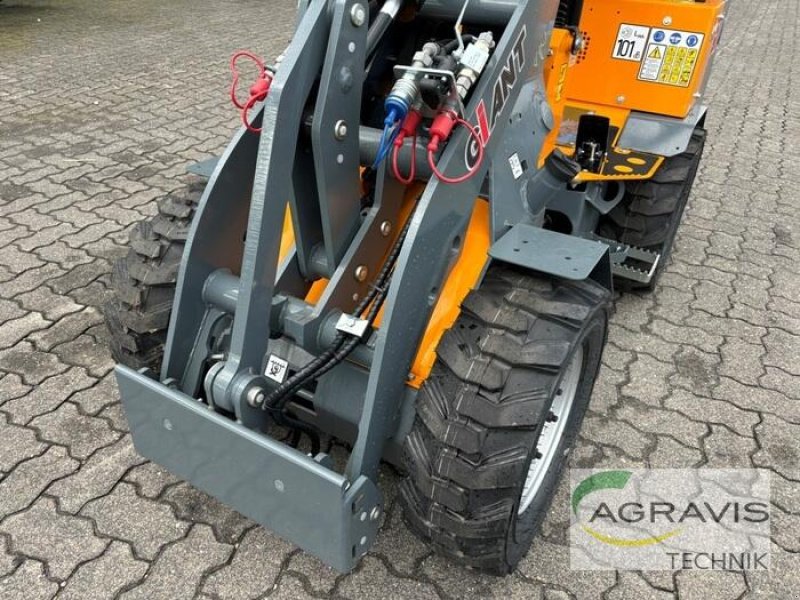 Radlader typu GiANT G1200, Neumaschine w Coesfeld (Zdjęcie 5)