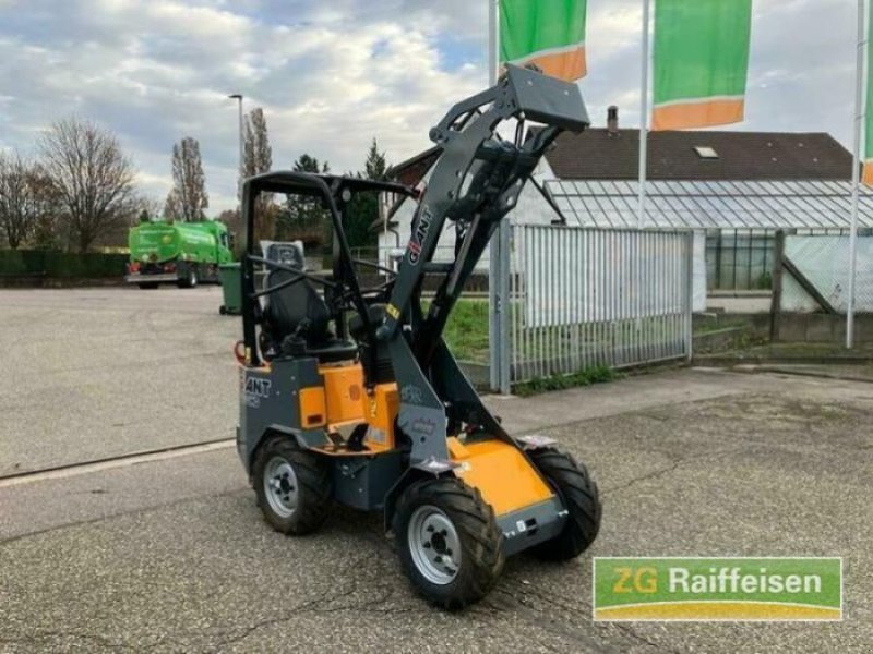 Radlader del tipo GiANT g1200, Gebrauchtmaschine In Bühl (Immagine 1)