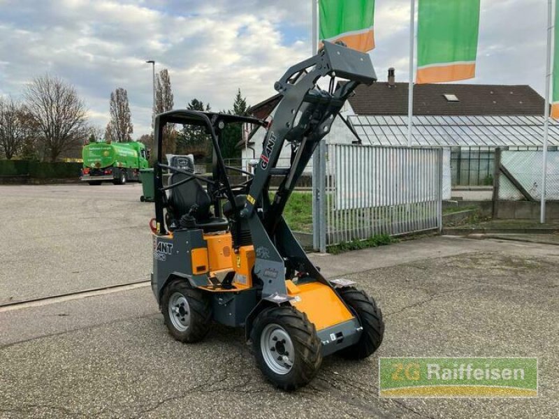 Radlader typu GiANT G1200, Gebrauchtmaschine w Bühl (Zdjęcie 1)