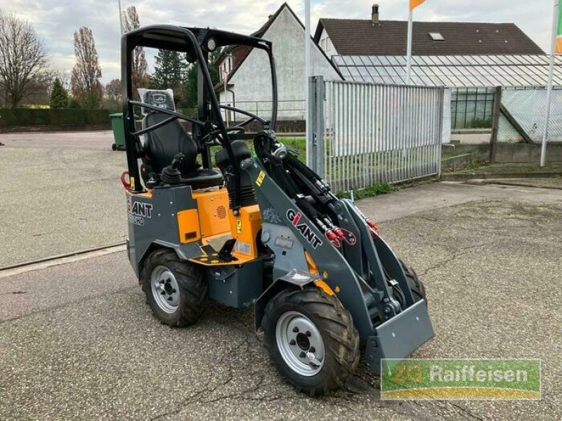 Radlader typu GiANT G1200, Gebrauchtmaschine w Bühl (Zdjęcie 4)