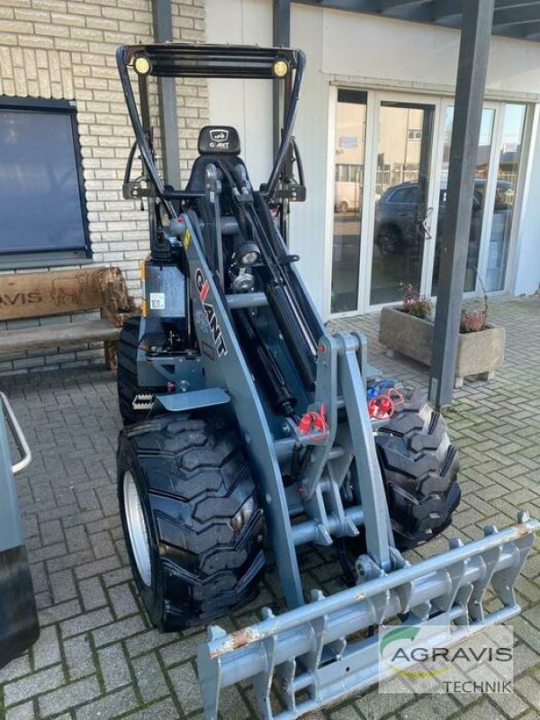 Radlader Türe ait GiANT G2200 HD, Vorführmaschine içinde Gronau (resim 1)