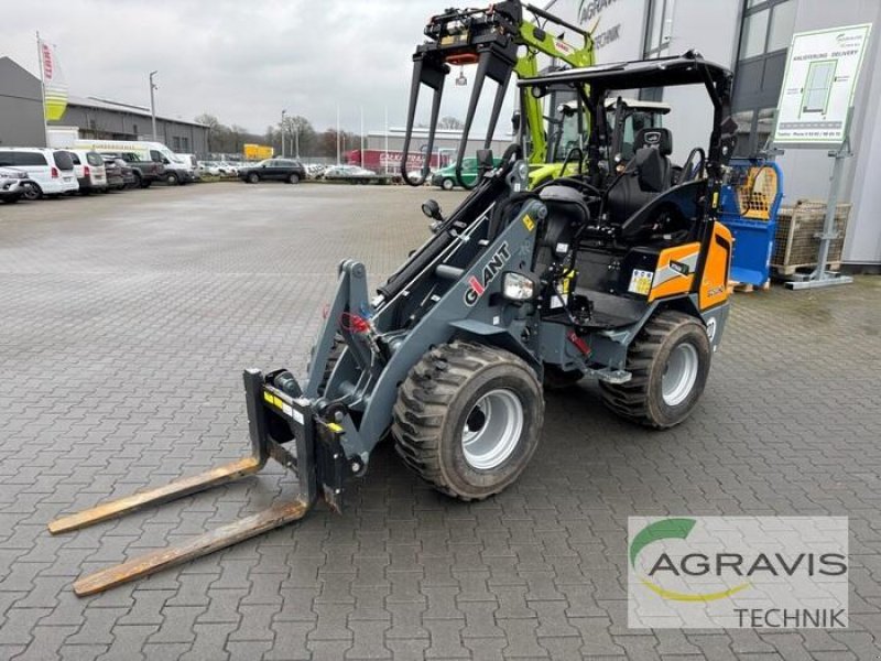 Radlader of the type GiANT G2500 HD, Vorführmaschine in Ascheberg (Picture 1)