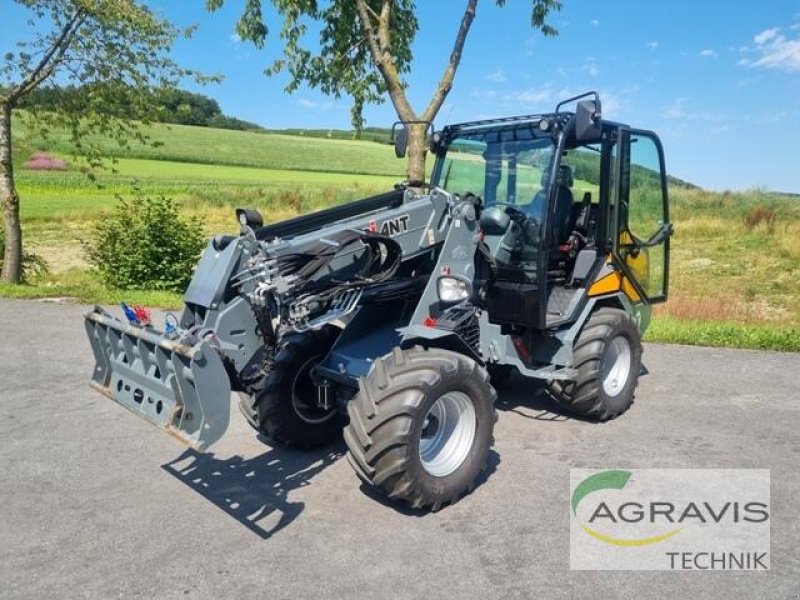 Radlader del tipo GiANT G3500 TELE, Vorführmaschine en Salzkotten (Imagen 2)