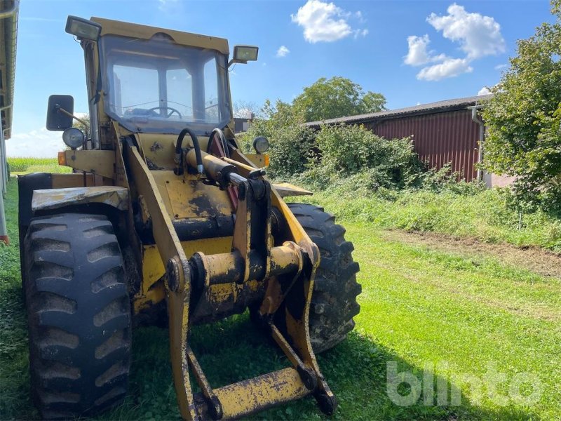 Radlader typu Hanomag 33 C, Gebrauchtmaschine v Düsseldorf (Obrázek 1)