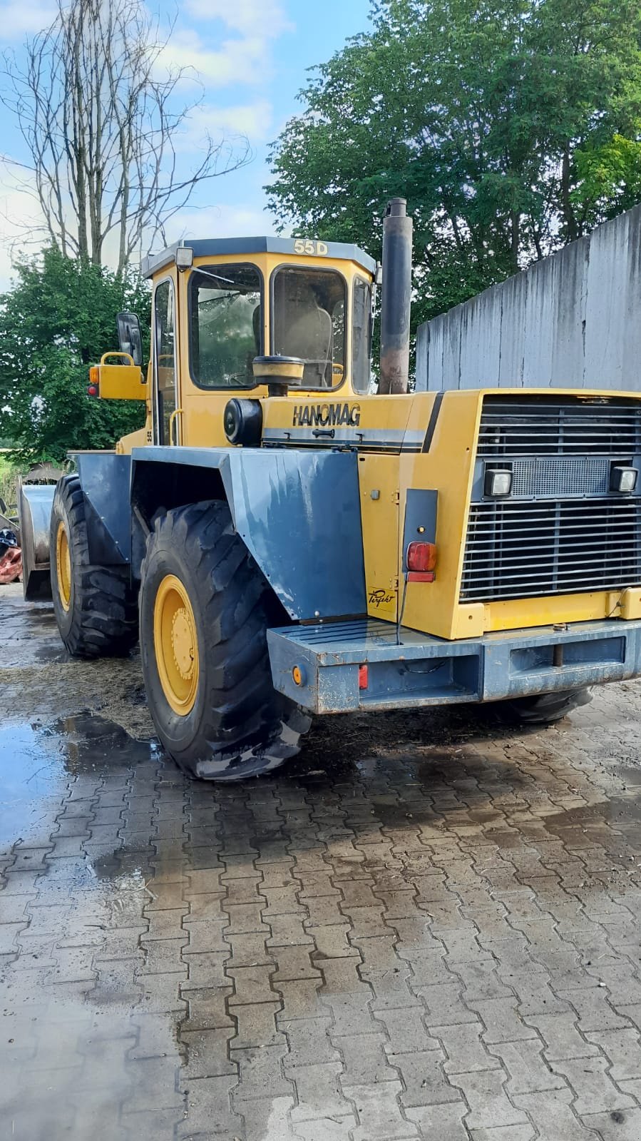 Radlader van het type Hanomag 55 D, Gebrauchtmaschine in Eicherloh (Foto 3)