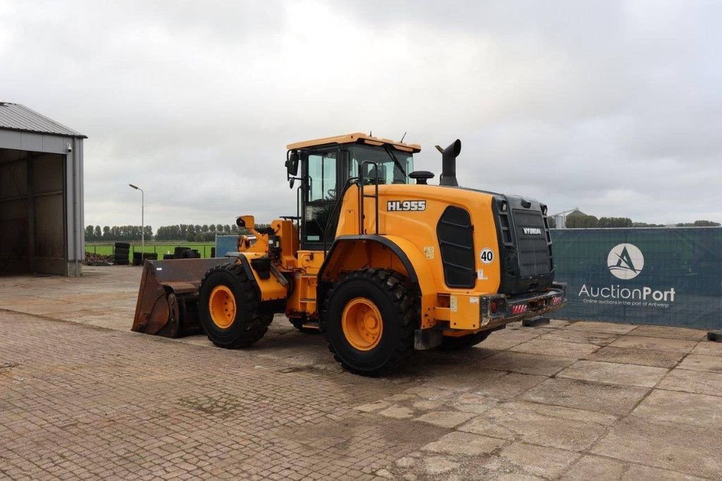 Radlader del tipo Hyundai HL955, Gebrauchtmaschine en Antwerpen (Imagen 3)