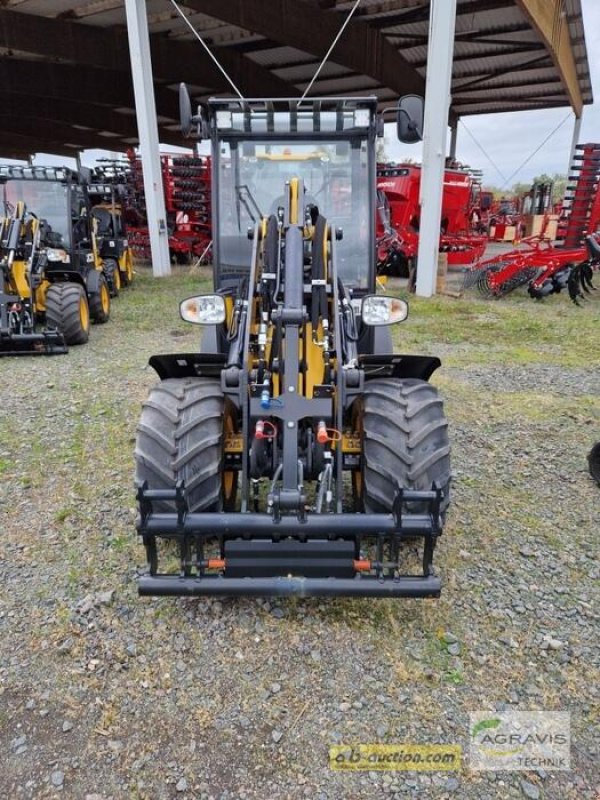 Radlader Türe ait JCB 403 AGRI, Gebrauchtmaschine içinde Landsberg/ OT Sietzsch (resim 2)