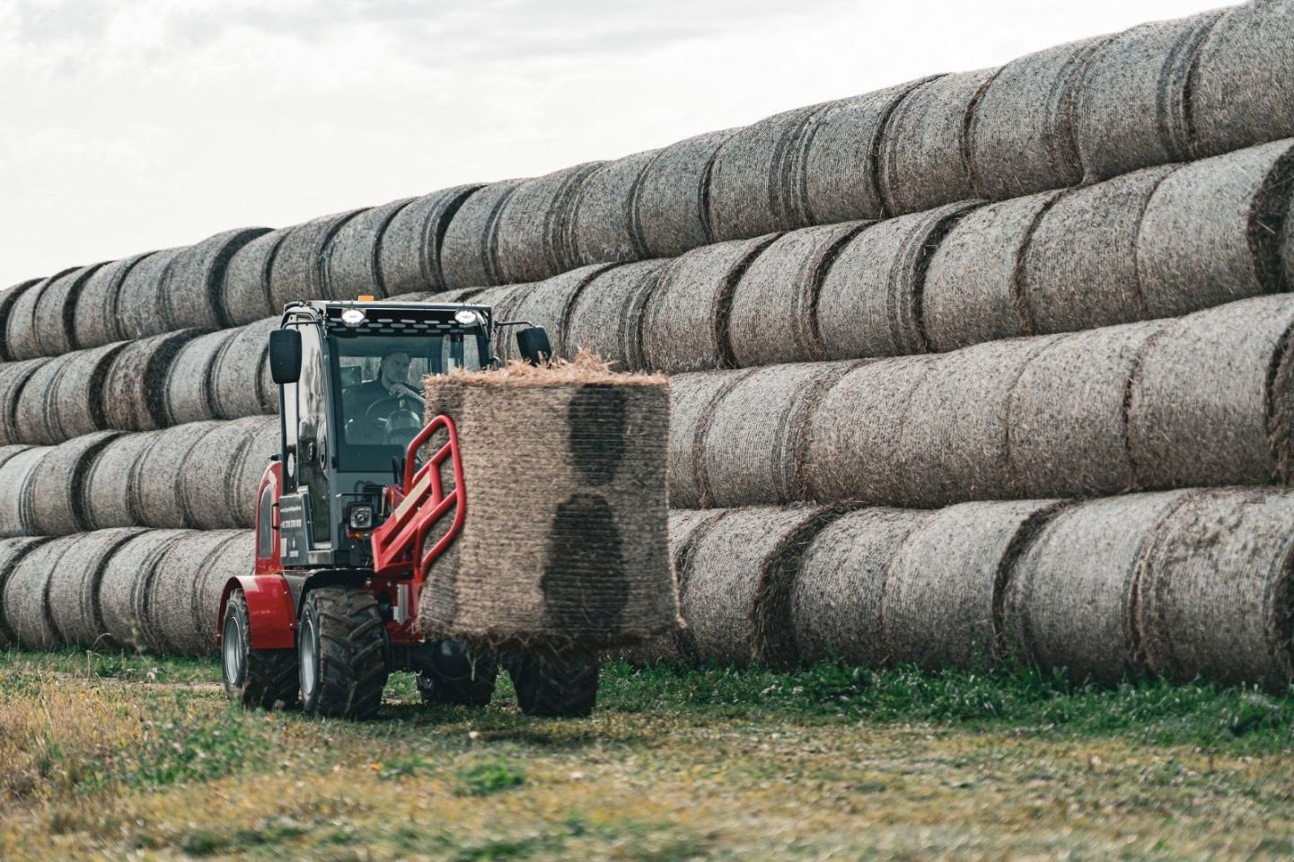 Radlader des Typs Kingway Farmer 811, Neumaschine in Hollandscheveld (Bild 4)