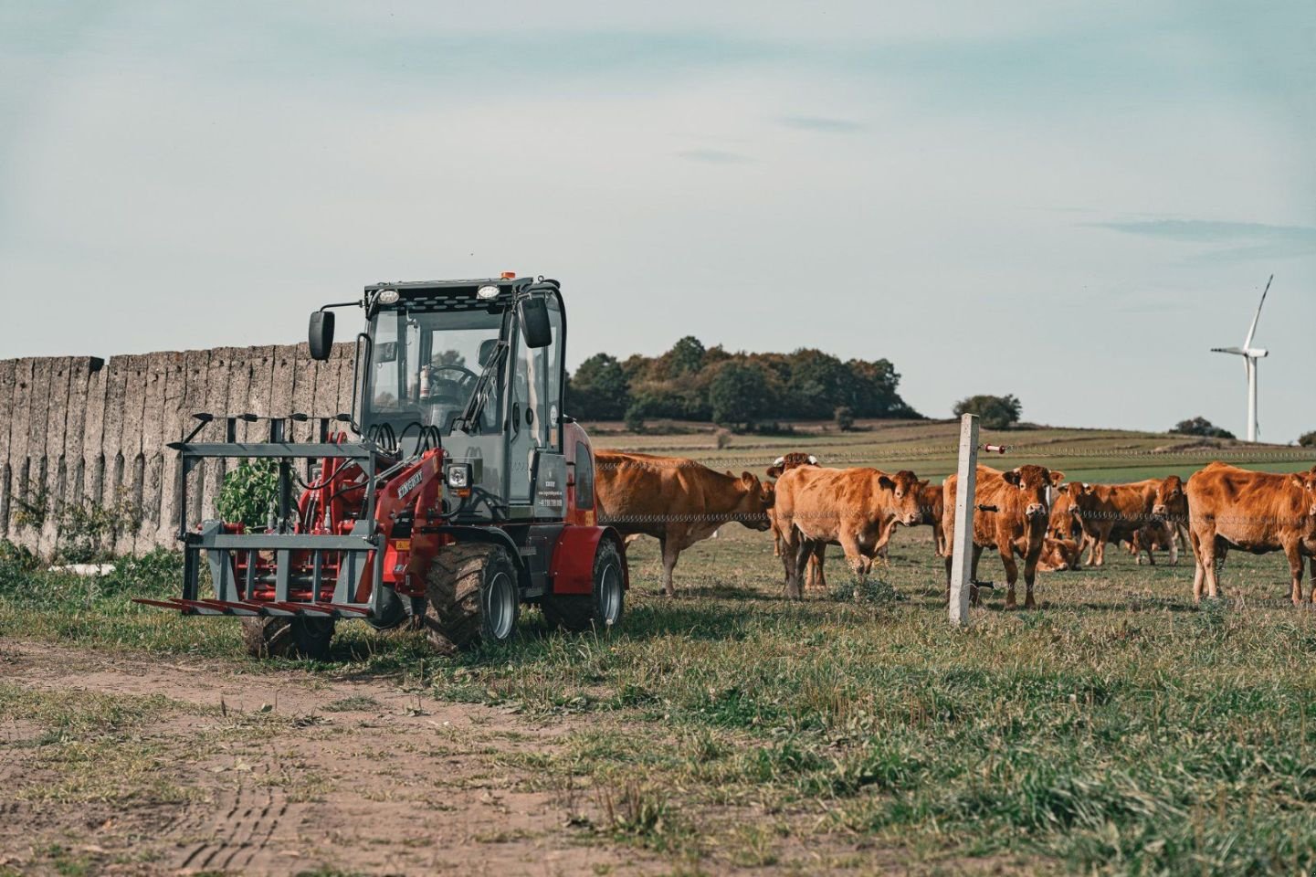 Radlader des Typs Kingway Farmer 811, Neumaschine in Hollandscheveld (Bild 5)