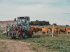 Radlader del tipo Kingway Farmer 811, Neumaschine en Hollandscheveld (Imagen 5)