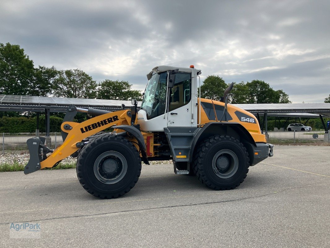 Radlader typu Liebherr 546 G6.1-D, Gebrauchtmaschine v Kirchdorf (Obrázok 1)