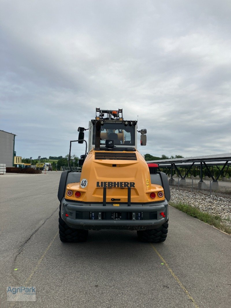 Radlader typu Liebherr 546 G6.1-D, Gebrauchtmaschine w Kirchdorf (Zdjęcie 3)