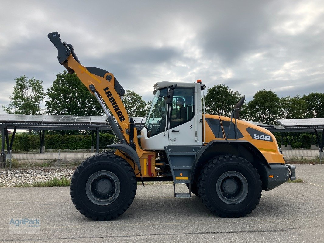 Radlader Türe ait Liebherr 546 G6.1-D, Gebrauchtmaschine içinde Kirchdorf (resim 13)