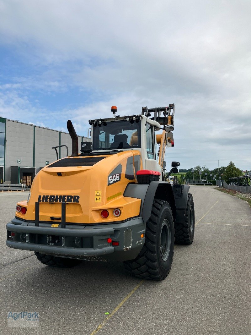 Radlader Türe ait Liebherr 546 G6.1-D, Gebrauchtmaschine içinde Kirchdorf (resim 12)