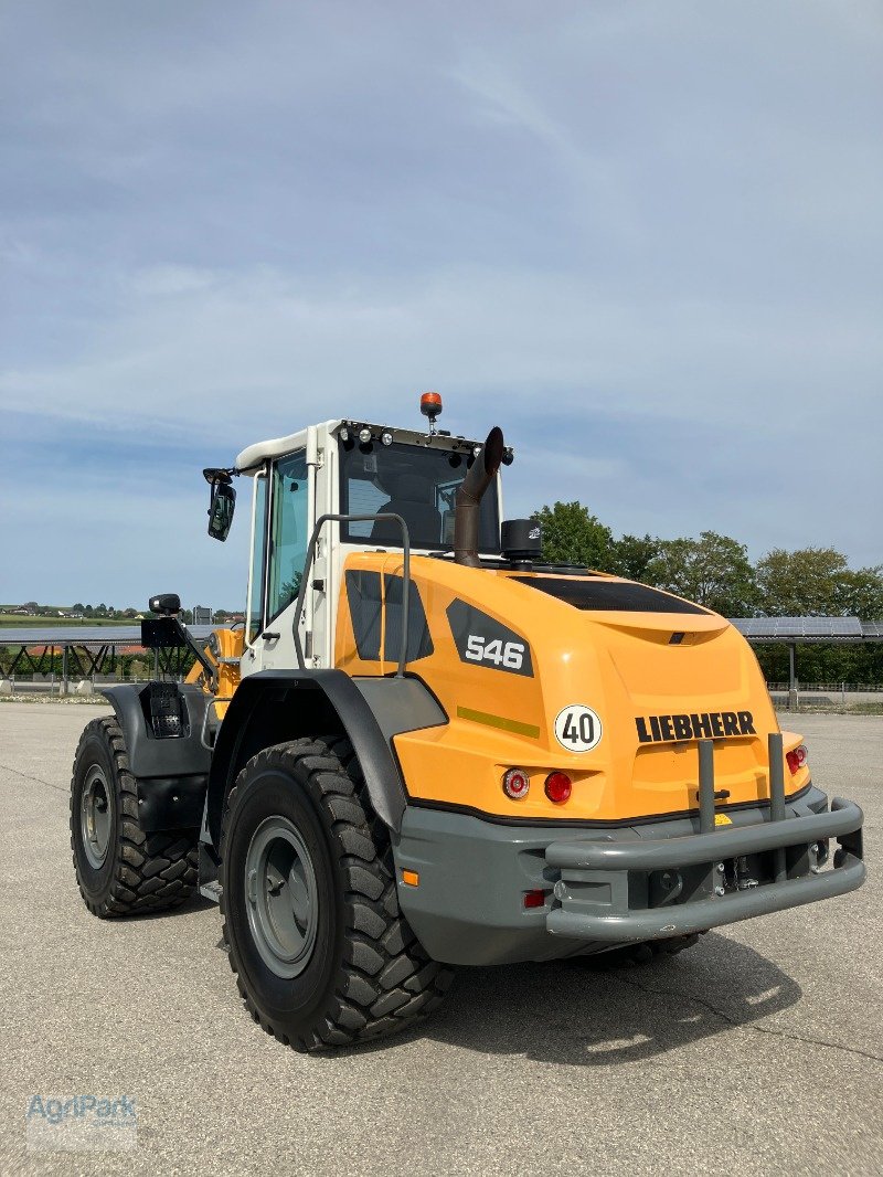 Radlader van het type Liebherr 546 G6.1-D, Gebrauchtmaschine in Kirchdorf (Foto 7)