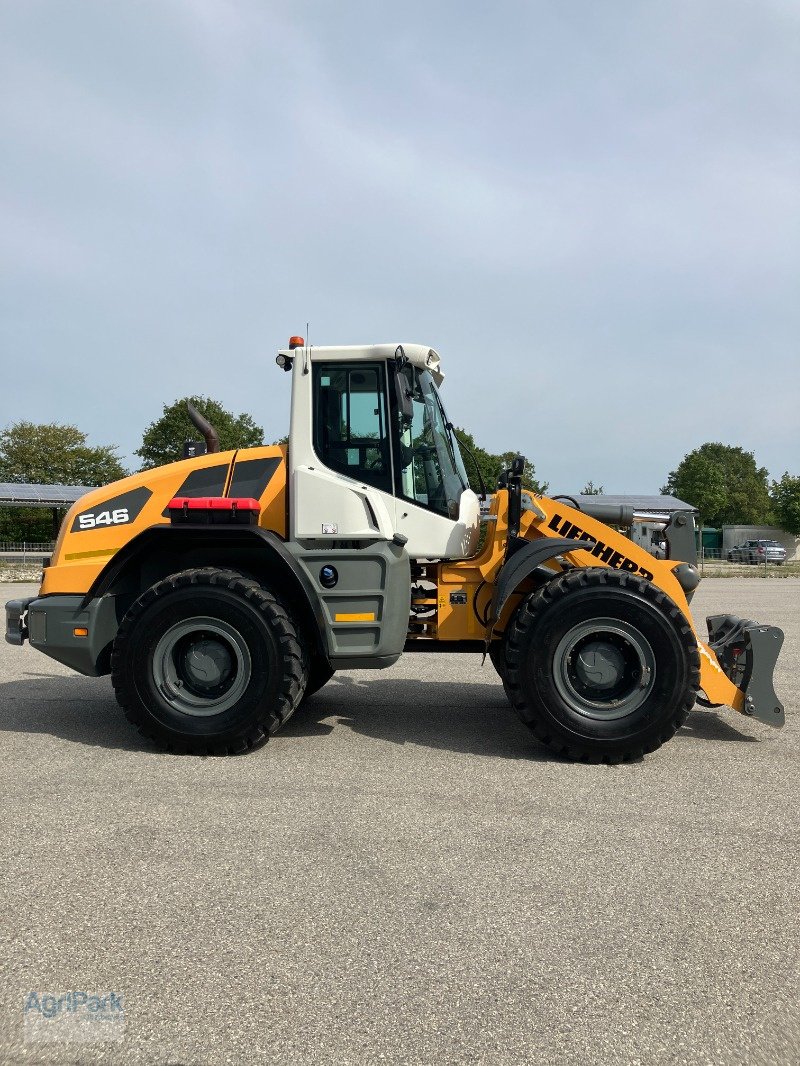 Radlader typu Liebherr 546 G6.1-D, Gebrauchtmaschine w Kirchdorf (Zdjęcie 4)