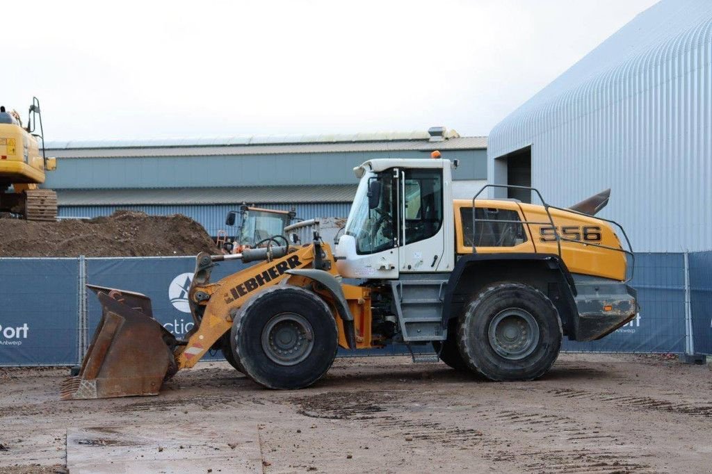 Radlader des Typs Liebherr 556 XPower, Gebrauchtmaschine in Antwerpen (Bild 1)