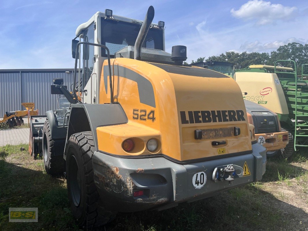 Radlader типа Liebherr L 524, Gebrauchtmaschine в Neustadt Dosse (Фотография 8)