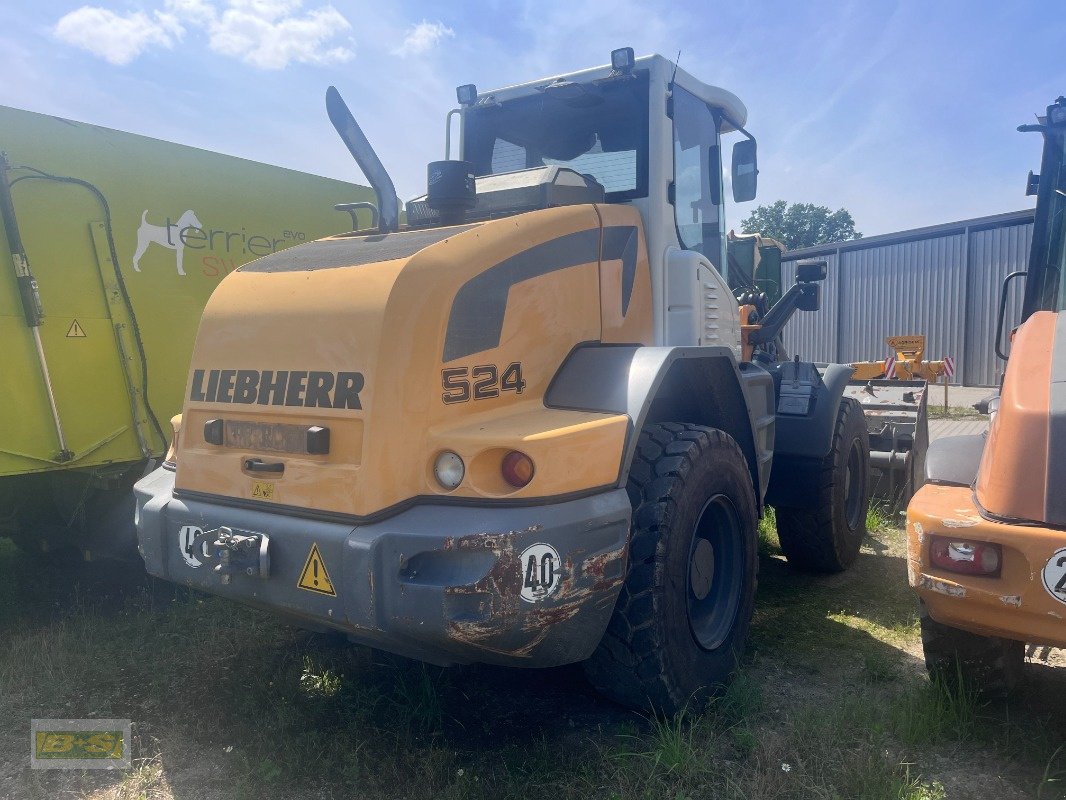 Radlader типа Liebherr L 524, Gebrauchtmaschine в Neustadt Dosse (Фотография 12)