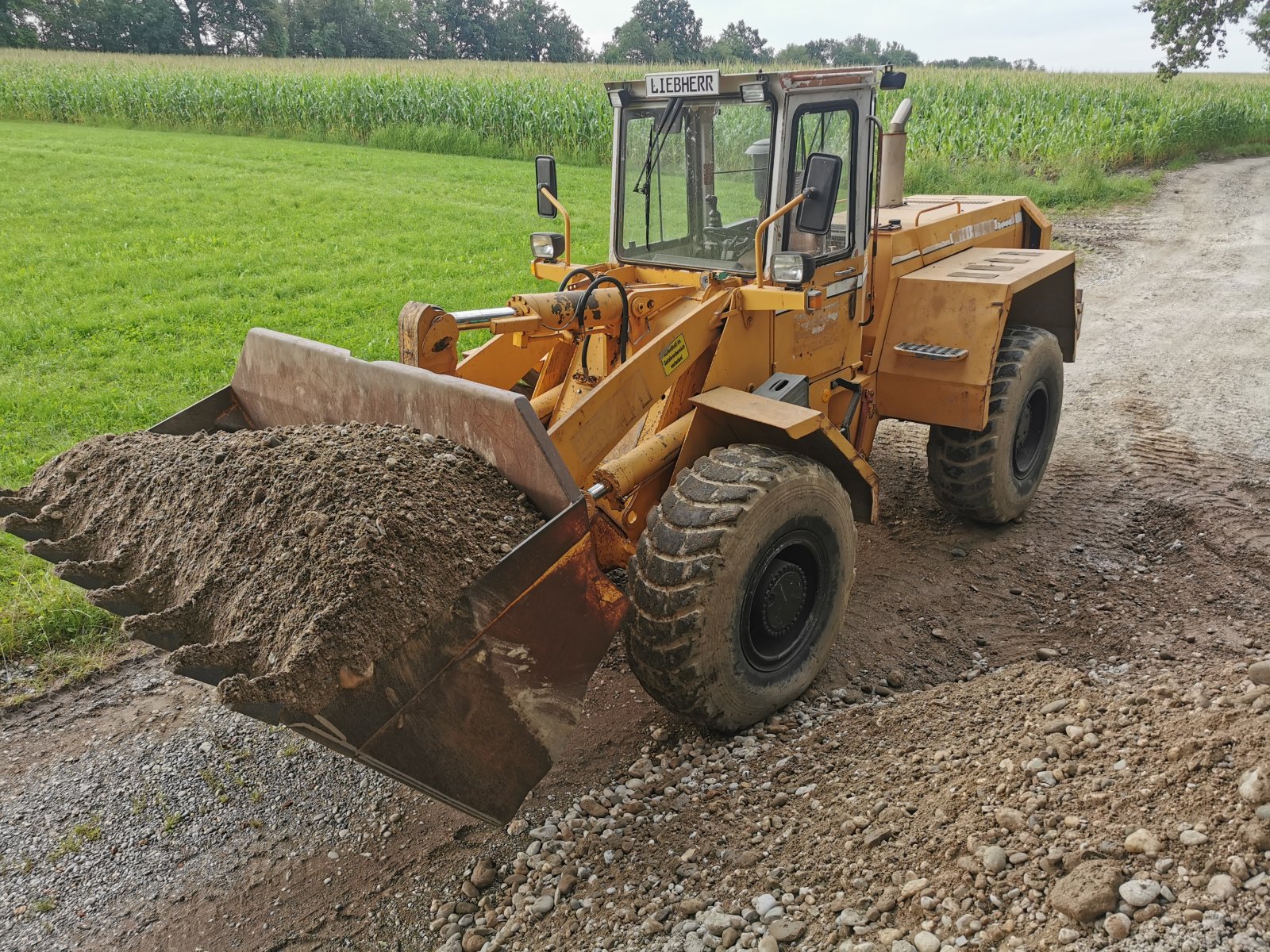 Radlader van het type Liebherr L 541, Gebrauchtmaschine in Eiselfing (Foto 1)