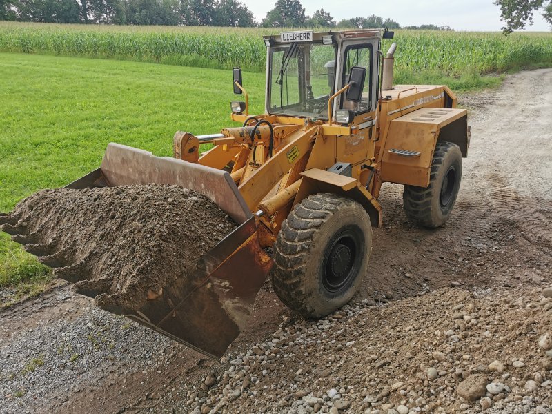 Radlader Türe ait Liebherr L 541, Gebrauchtmaschine içinde Eiselfing (resim 1)