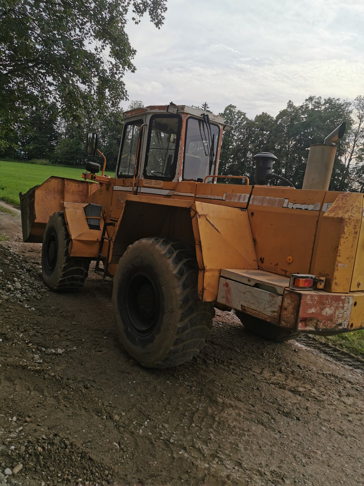 Radlader Türe ait Liebherr L 541, Gebrauchtmaschine içinde Eiselfing (resim 2)