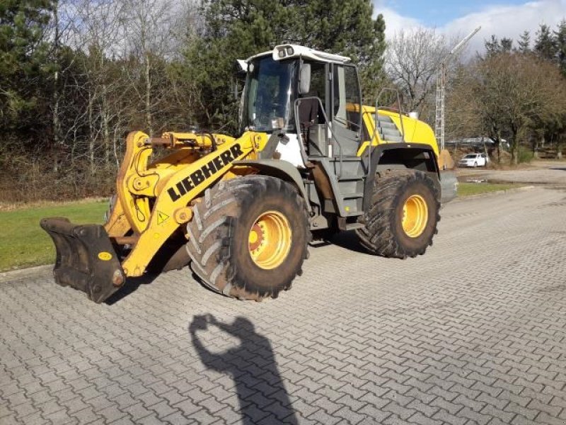 Radlader of the type Liebherr L550-2 PLUS, Gebrauchtmaschine in Tim (Picture 2)