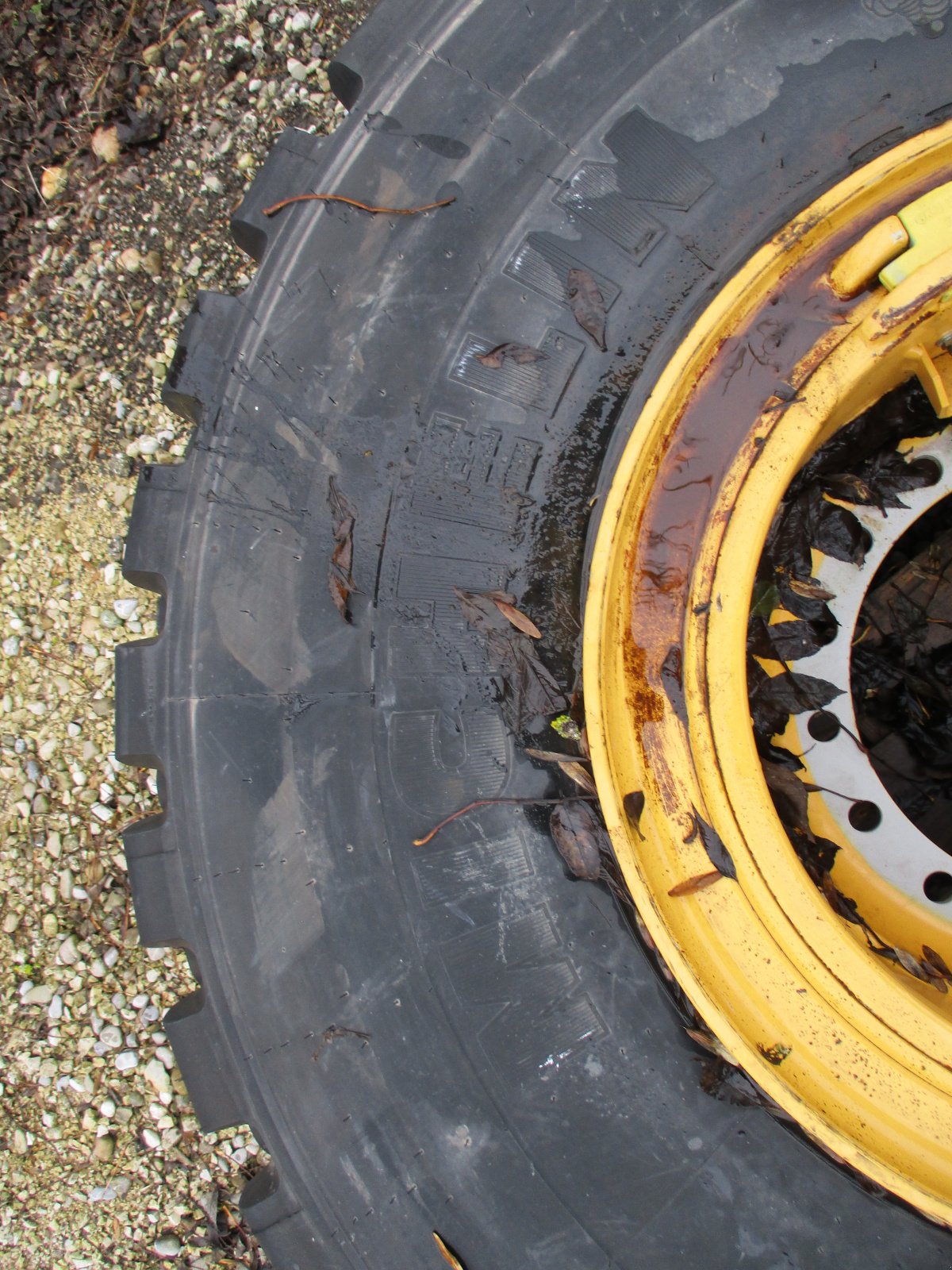 Radlader of the type Liebherr neuer Michelin Reifen 23.5 R 25 mit neuer Felge, Neumaschine in Rain-Gempfing (Picture 5)