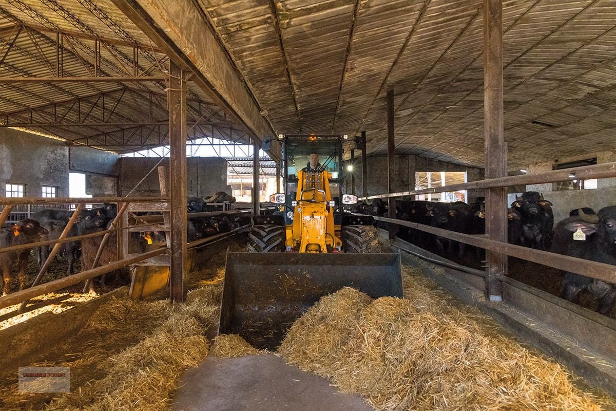 Radlader van het type Sonstige 1.63D TL Tele-Radlader Hausmesseaktion 26-27 Okt, Gebrauchtmaschine in Tarsdorf (Foto 15)