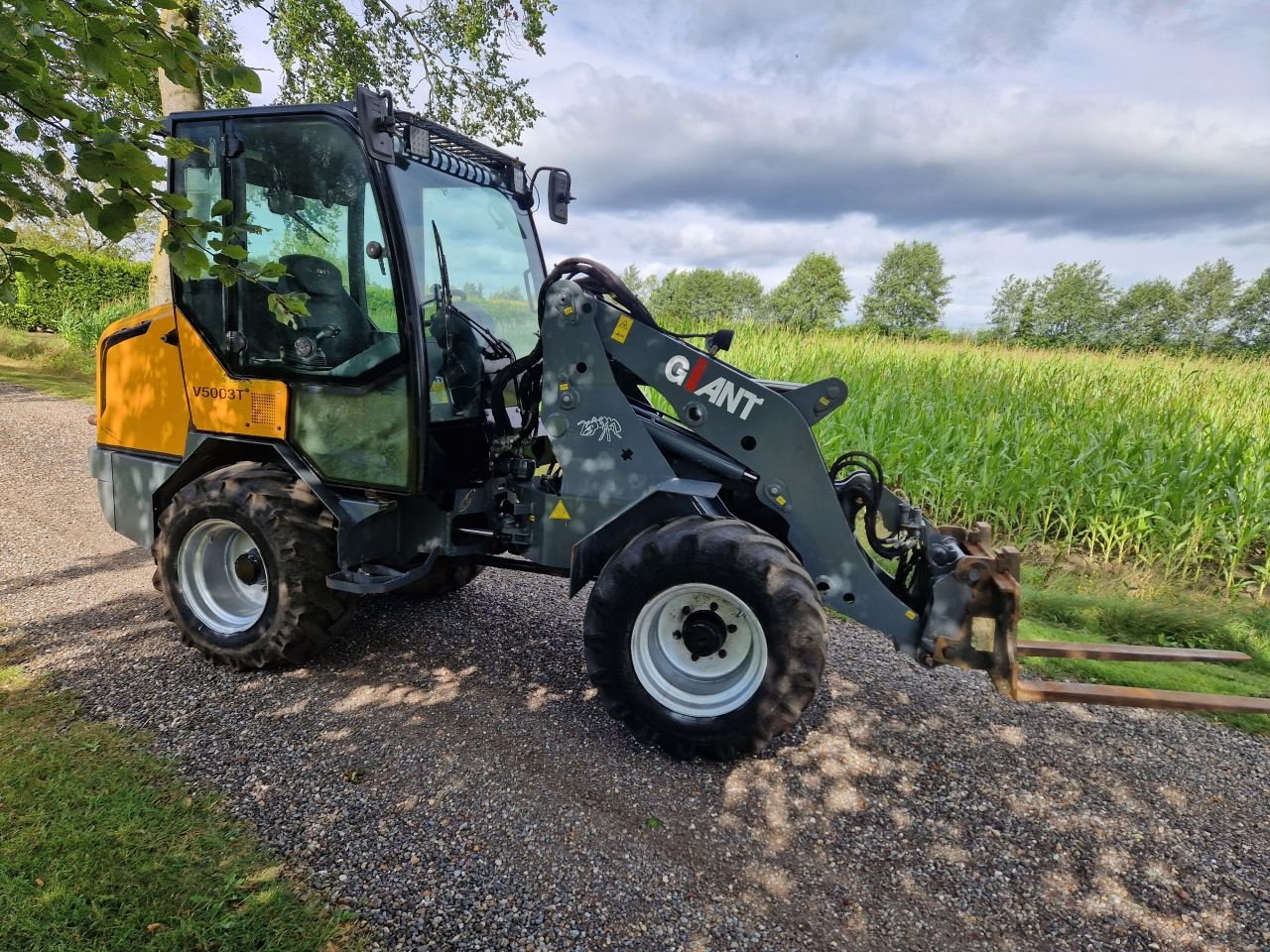 Radlader typu Sonstige Gaint 5003 T giant 5003T, Gebrauchtmaschine v Oirschot (Obrázok 2)