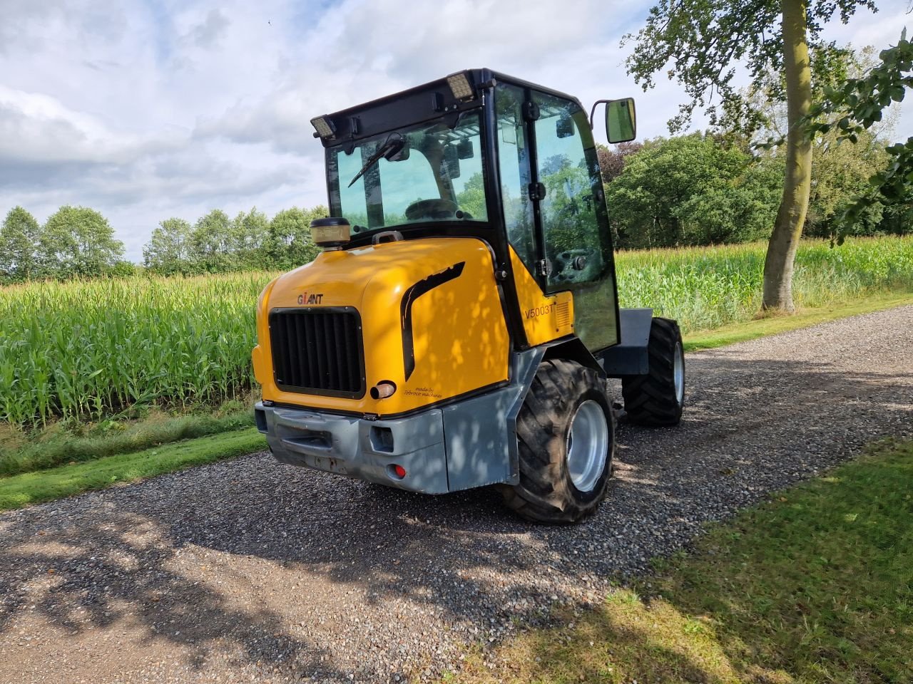 Radlader du type Sonstige Gaint 5003 T giant 5003T, Gebrauchtmaschine en Oirschot (Photo 5)