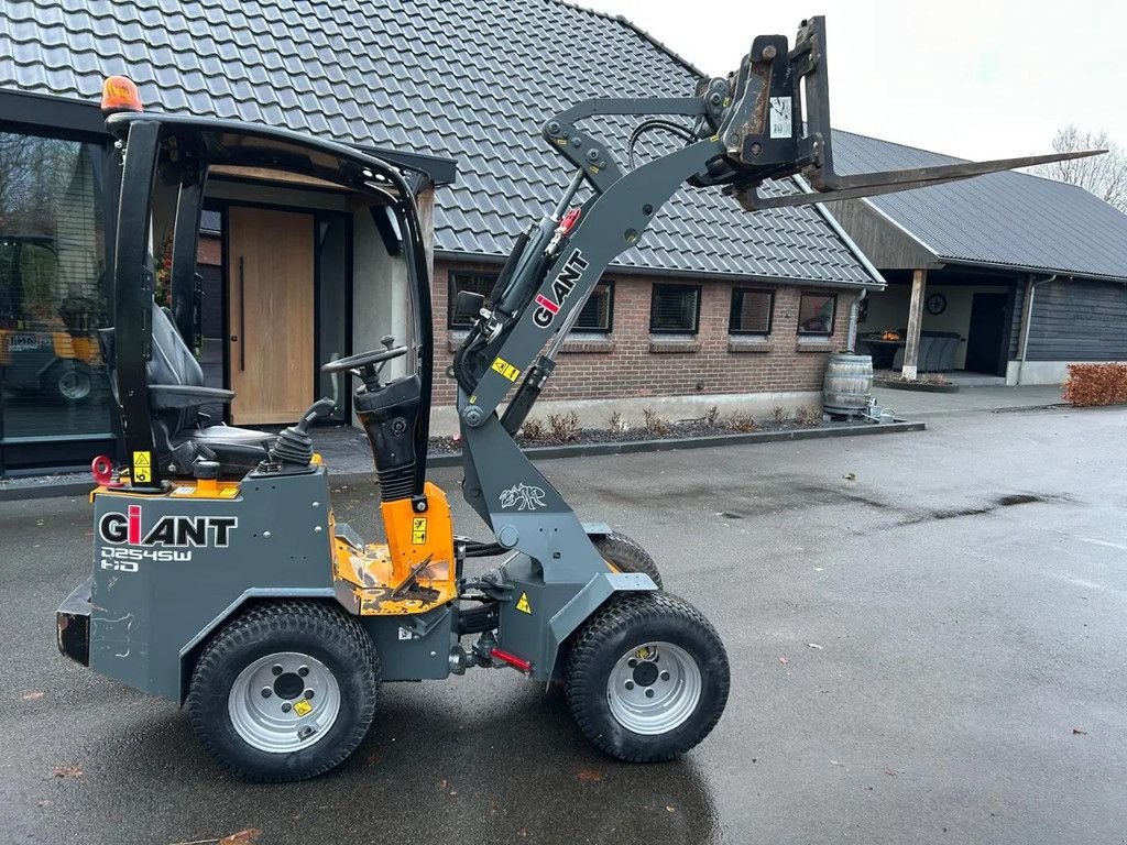 Radlader typu Sonstige Giant D254SW HD, Gebrauchtmaschine v HA (Obrázek 8)