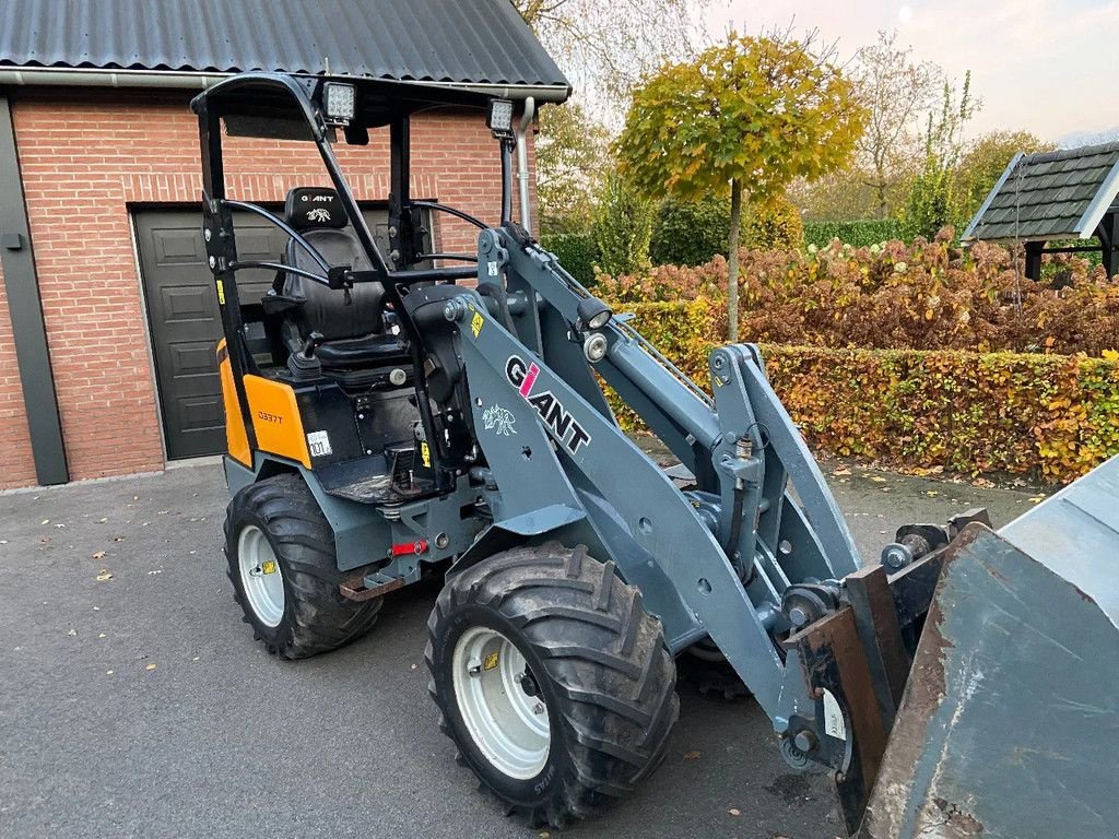 Radlader van het type Sonstige Giant D337T, Gebrauchtmaschine in HA (Foto 11)