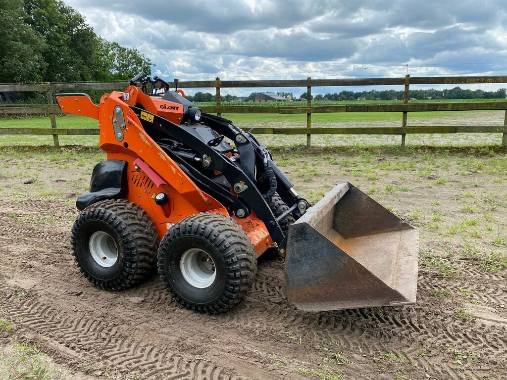 Radlader typu Sonstige Giant skid sk252D, Gebrauchtmaschine v Boekel (Obrázek 4)