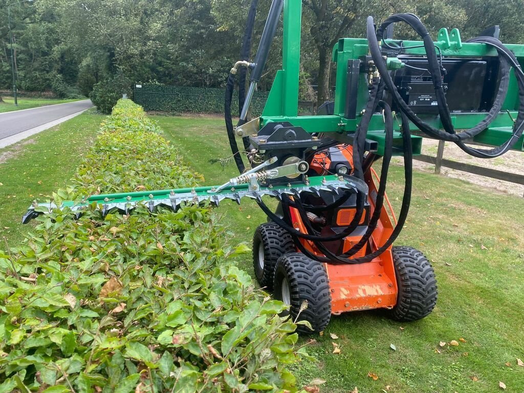 Radlader tip Sonstige Giant skid sk252D, Gebrauchtmaschine in Boekel (Poză 3)