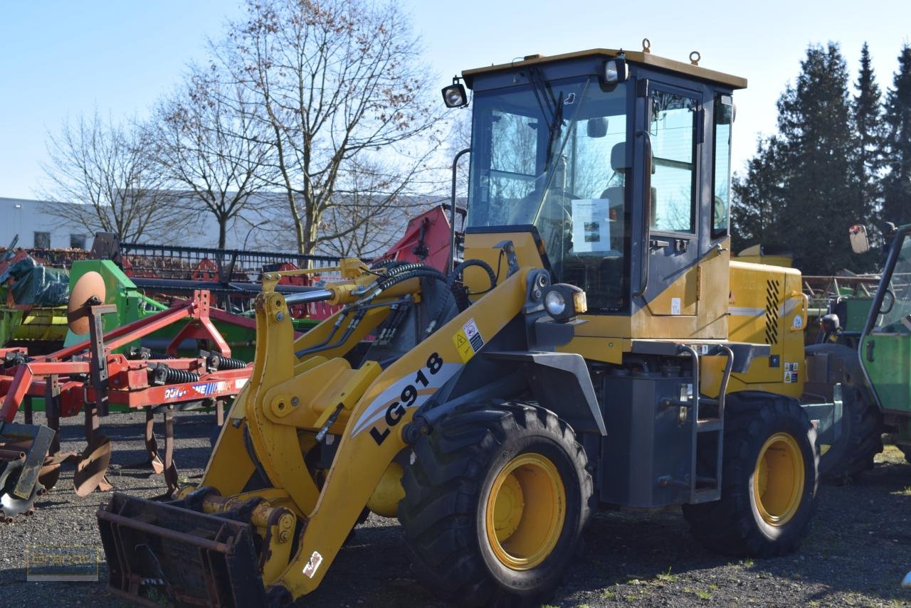 Radlader typu Sonstige SDLG LG 918, Gebrauchtmaschine v Oyten (Obrázek 1)