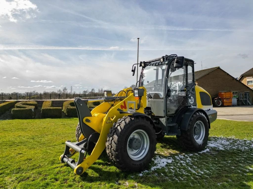 Radlader of the type Sonstige Wacker Neuson WL44 Advanced, Neumaschine in Didam (Picture 2)