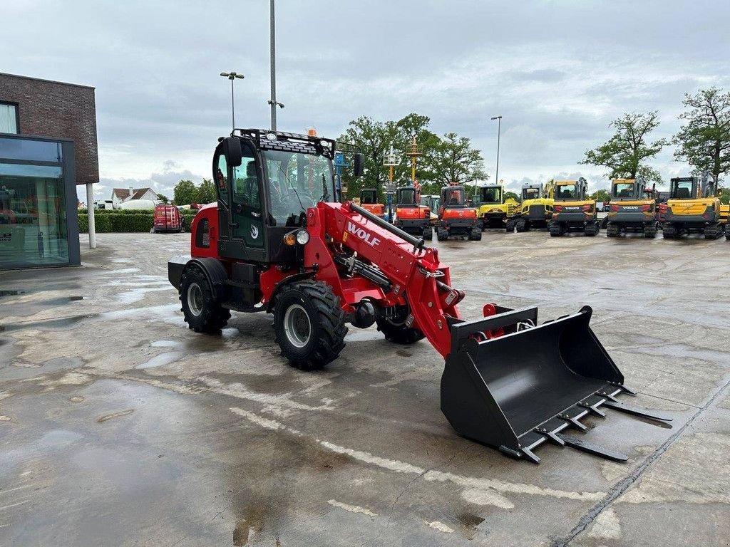 Radlader a típus Sonstige WOLF WL816T, Neumaschine ekkor: Antwerpen (Kép 3)