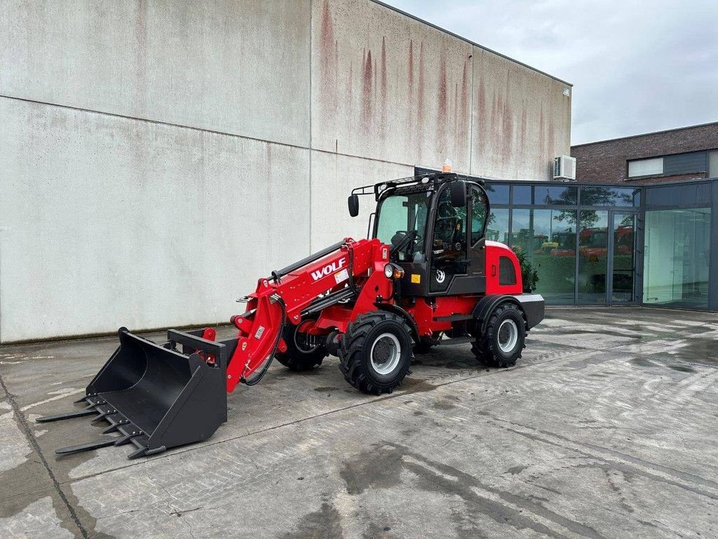 Radlader van het type Sonstige WOLF WL816T, Neumaschine in Antwerpen (Foto 1)