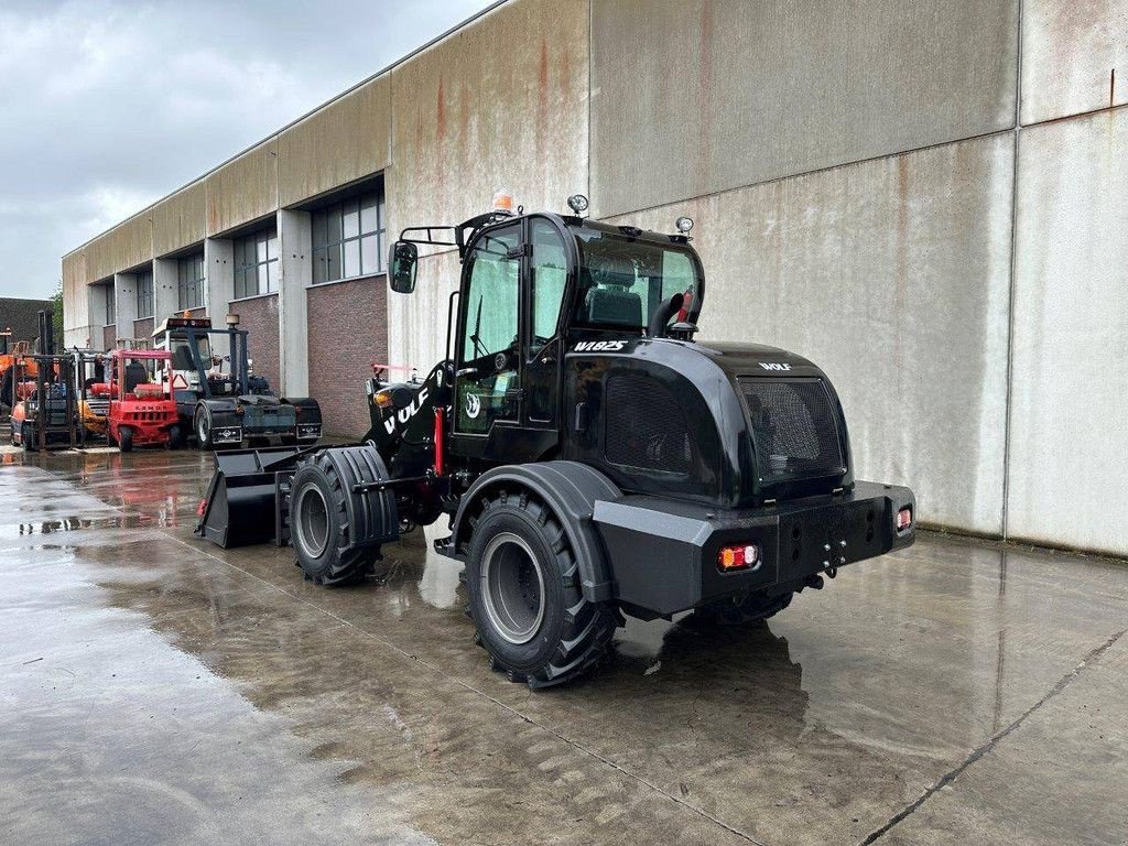 Radlader typu Sonstige WOLF WL825, Neumaschine v Antwerpen (Obrázek 7)