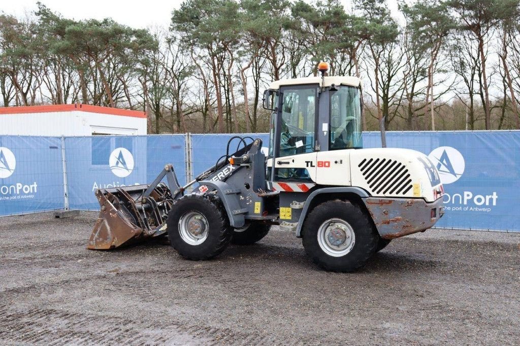 Radlader a típus Terex TL80, Gebrauchtmaschine ekkor: Antwerpen (Kép 3)