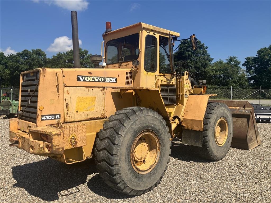 Radlader del tipo Volvo BM 4300 B velholdt, Gebrauchtmaschine en Rødekro (Imagen 1)