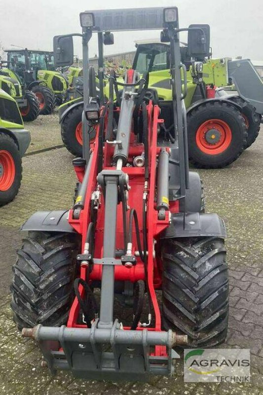 Radlader za tip Weidemann  1260, Gebrauchtmaschine u Salzkotten (Slika 2)