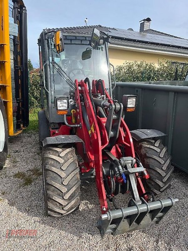 Radlader typu Weidemann  2080, Vorführmaschine w Elleben OT Riechheim (Zdjęcie 2)